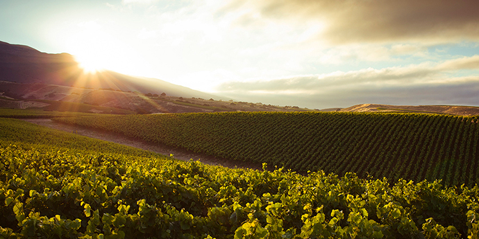 【生産者セミナー】ラ・クレマ（通訳付）